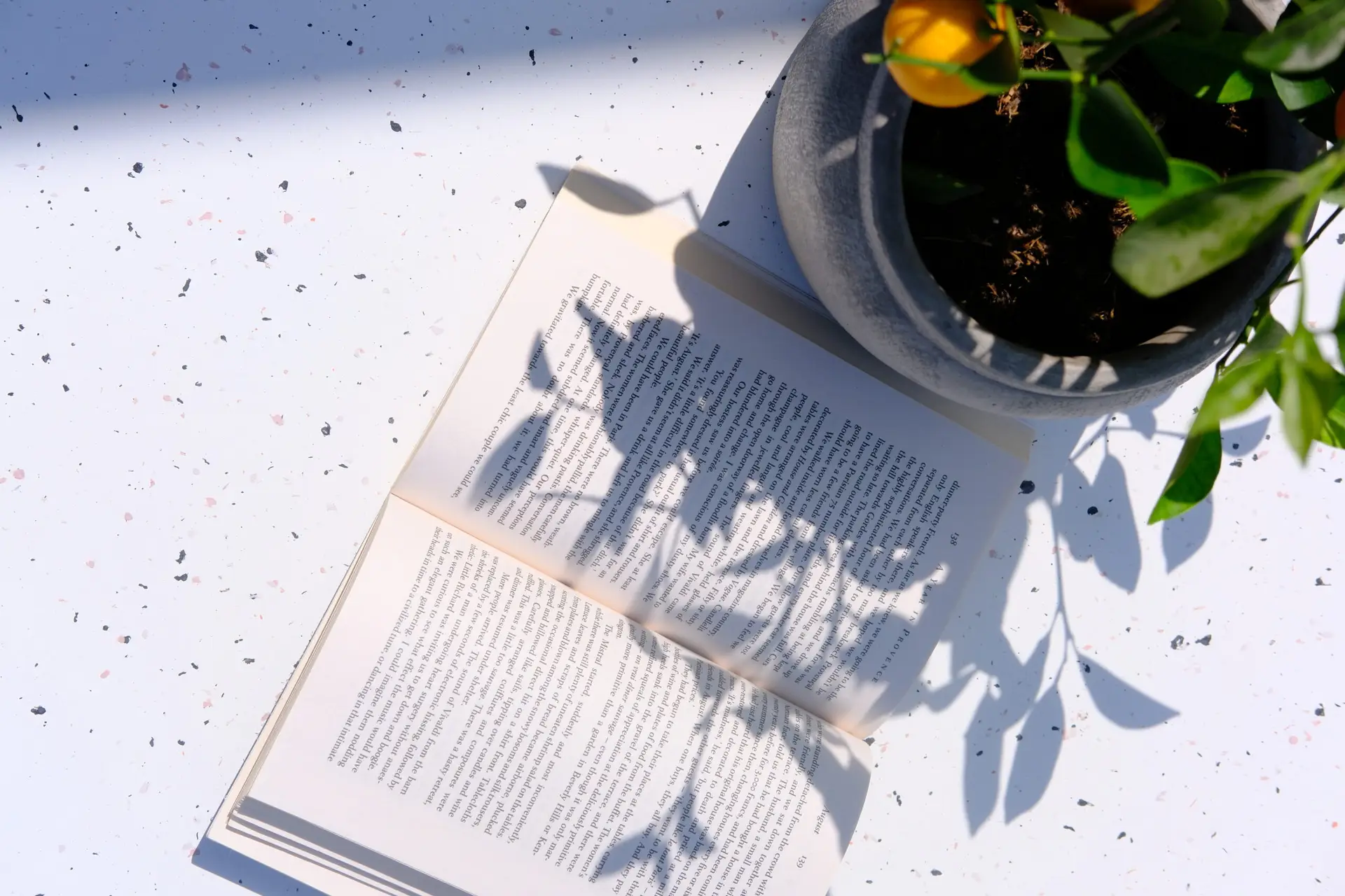 Slow living ispiration with books and a peaceful home setting